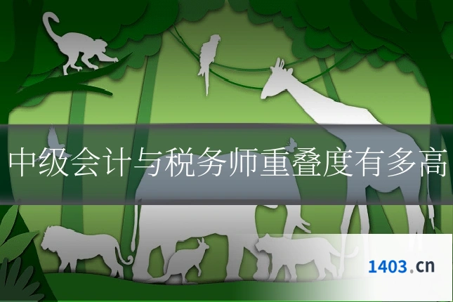 中级会计与税务师重叠度有多高