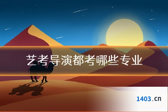 艺考导演都考哪些专业
