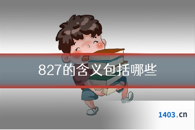 827的含义包括哪些