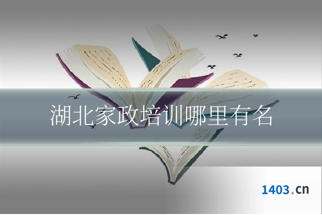 湖北家政培训哪里有名