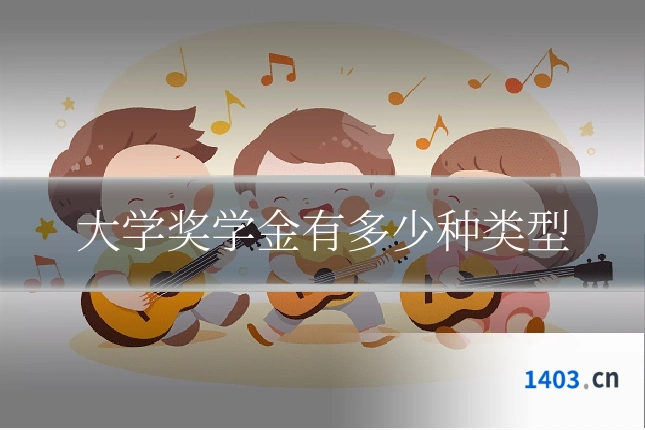 大学奖学金有多少种类型