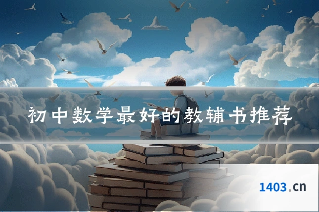 初中数学最好的教辅书推荐