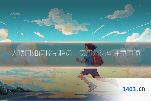 大项目如何控制税负：实用方法与注意事项