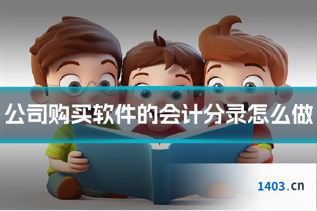公司购买软件的会计分录怎么做