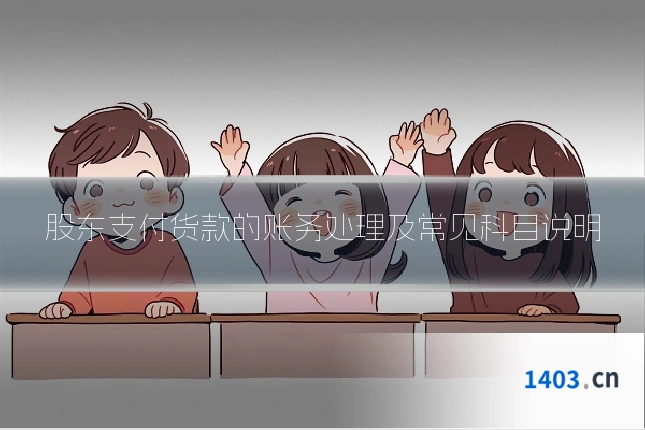 股东支付货款的账务处理及常见科目说明
