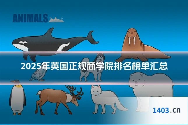 2025年英国正规商学院排名榜单汇总