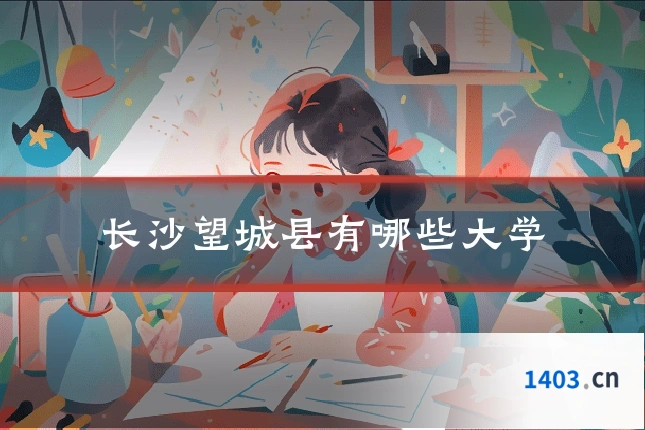 长沙望城县有哪些大学