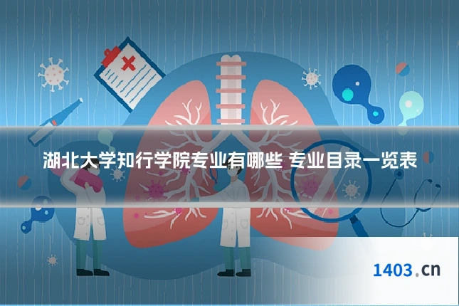 湖北大学知行学院专业有哪些 专业目录一览表