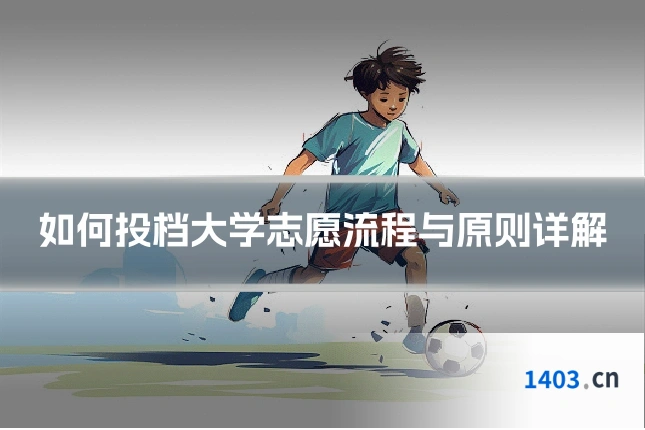 如何投档大学志愿流程与原则详解