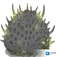 异虫女王官方最新版-v1.0