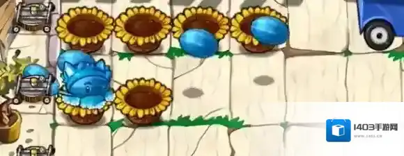 植物大战僵尸杂交版花盆