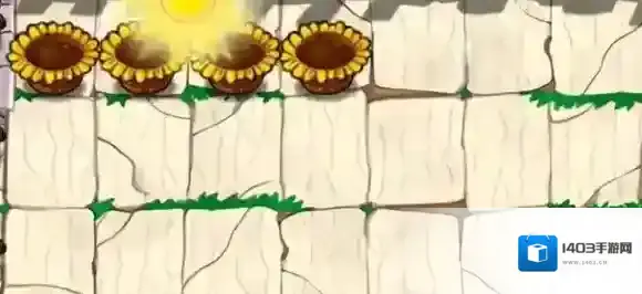 植物大战僵尸杂交版冰瓜