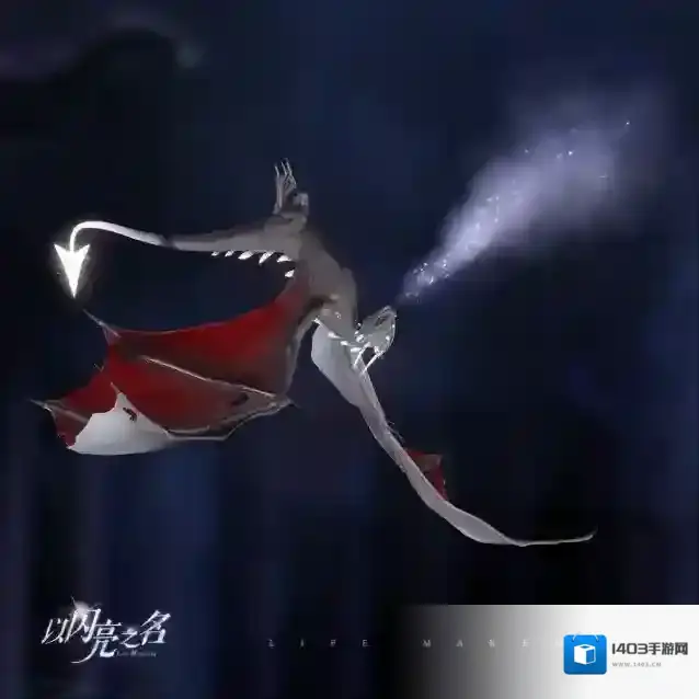 以闪亮之名崽崽