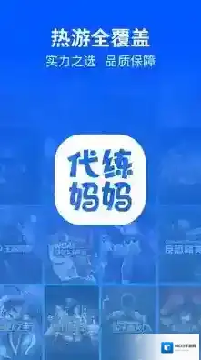 代练妈妈玩家