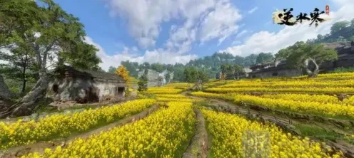 逆水寒手游采药隐藏身份怎么获得 采药隐藏身份解锁攻略