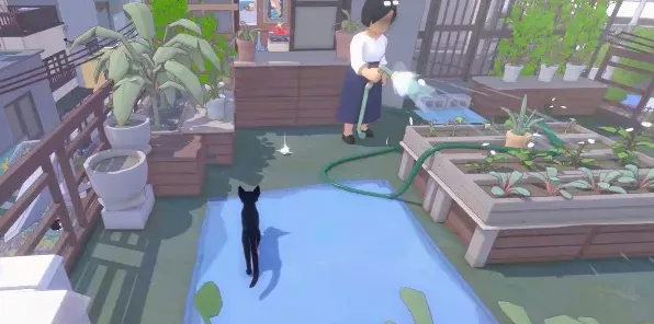 小猫咪大城市房顶