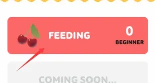 疯狂的鸽子点击