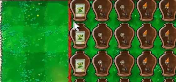 植物大战僵尸玩家