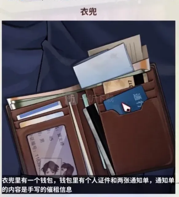 迷雾之夏贾文桦