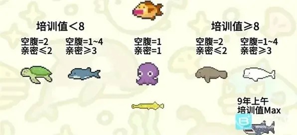 潜水员戴夫黄鱼