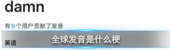 《网易有道词典》全球发音梗是什么意思