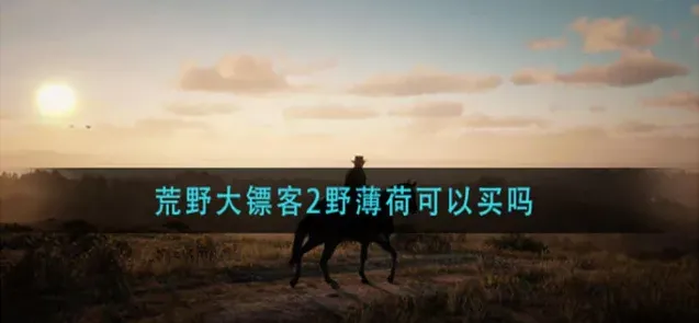 相关攻略野薄荷