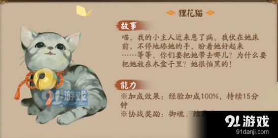 阴阳师后院流浪猫怎么吸引 狸花猫获得流程