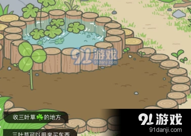 旅行青蛙无限刷三叶草技巧说明