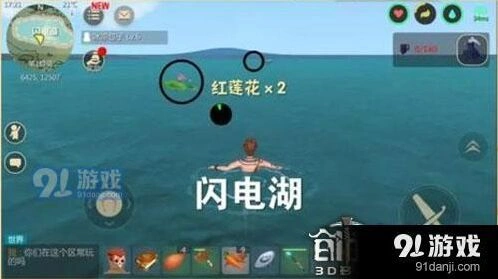 创造与魔法红莲花在哪找完整攻略