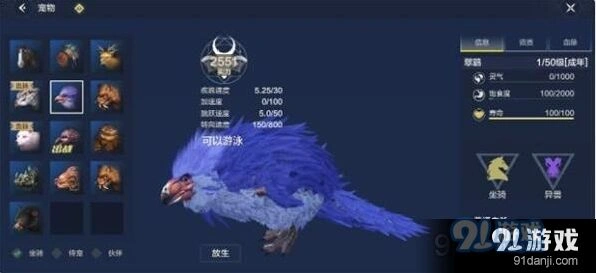 妄想山海翠鹞坐骑详情