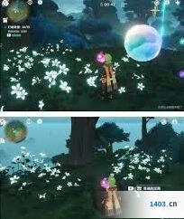 原神水天丛林解密要点分析