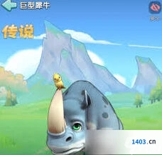 奔奔王国四代宠物培养玩法