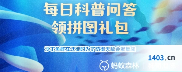 沙丁鱼群在迁徙时为了防御天敌会聚集成