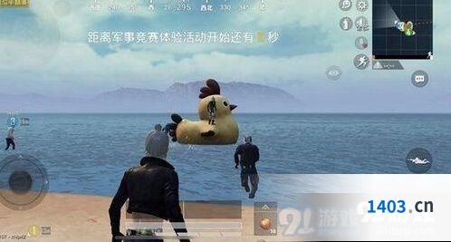 和平精英小黄鸡位置分布详情指南