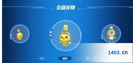 QQ飞车探险鸭获取技巧完整版