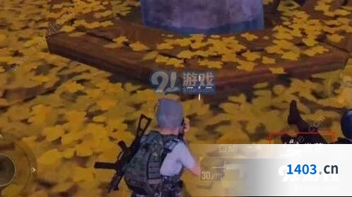 和平精英中秋月兔模式赏花方法步骤