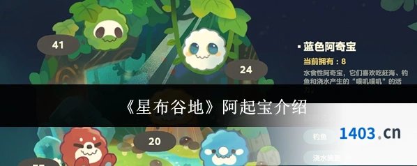 《星布谷地》阿起宝介绍