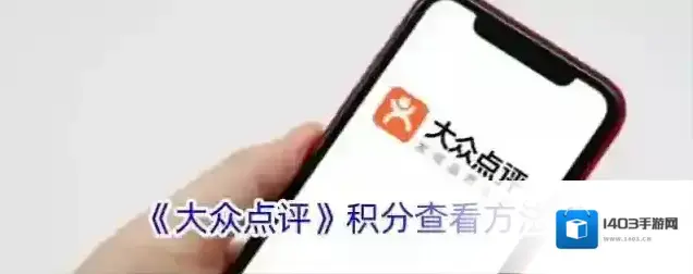 《大众点评》积分查看方法