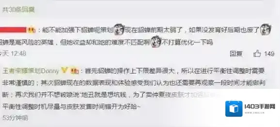 王者荣耀皮肤