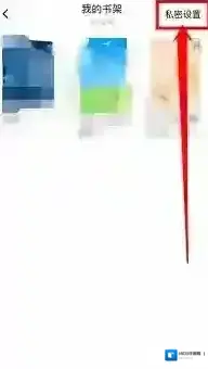 番茄小说备受欢迎