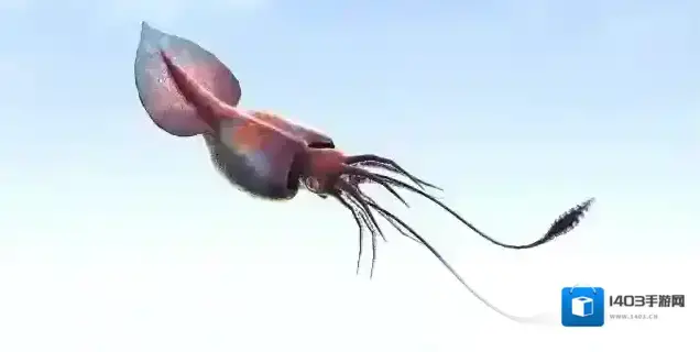 妄想山海北冥