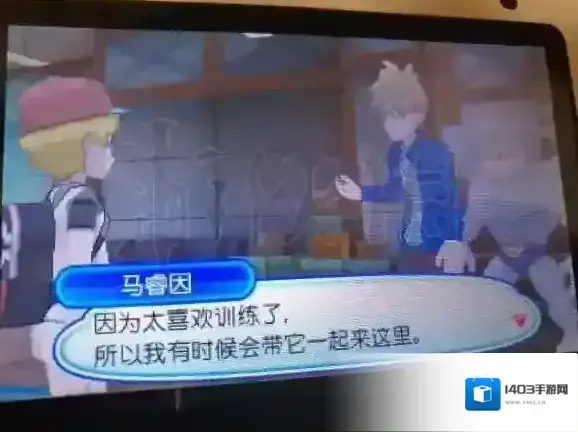 口袋妖怪日月支线任务