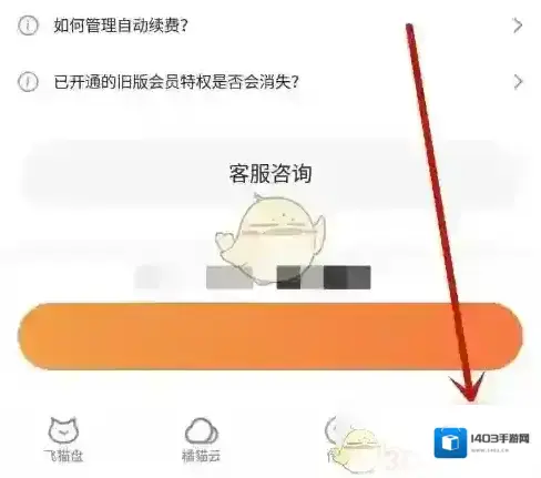 飞猫盘选项