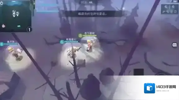 迷雾求生玩家