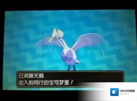 口袋妖怪日月选择
