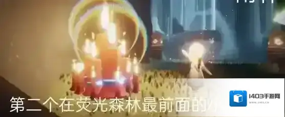 光遇雨林